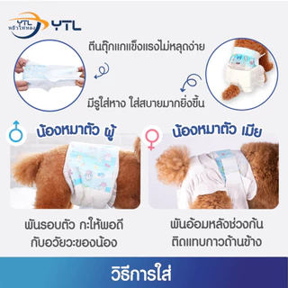 YTL แพมเพิสหมา โอบิสุนัขตัวผู้ ผ้าอ้อมสุนัข โอบิสุนัขเพศผู้ แพมเพิสสุนัขตัวผู้ แพมเพิสสุนัขเพศเมีย ผ้าอนามัยสุนัข