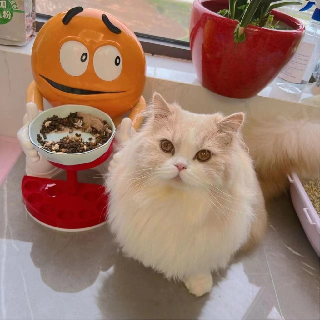 M Bean Man ตกแต่ง M Bean Man ชั้นวางชามแมวชามอาหารแมวชั้นวางสัตว์เลี้ยงชั้นวางชามสุนัขชั้นวางแมว mm Bean Man ชั้นวางตกแต่ง