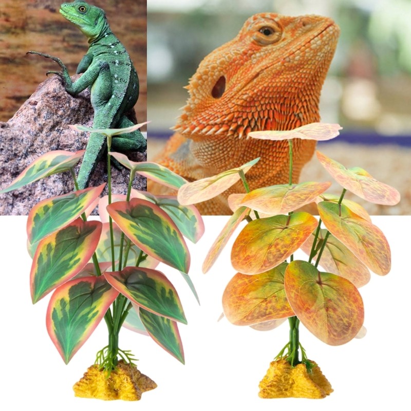 Yu Pet Reptiles Corner Plant ภูมิทัศน์สําหรับจิ้งจกมังกรเคราสะเทินน้ําสะเทินบก