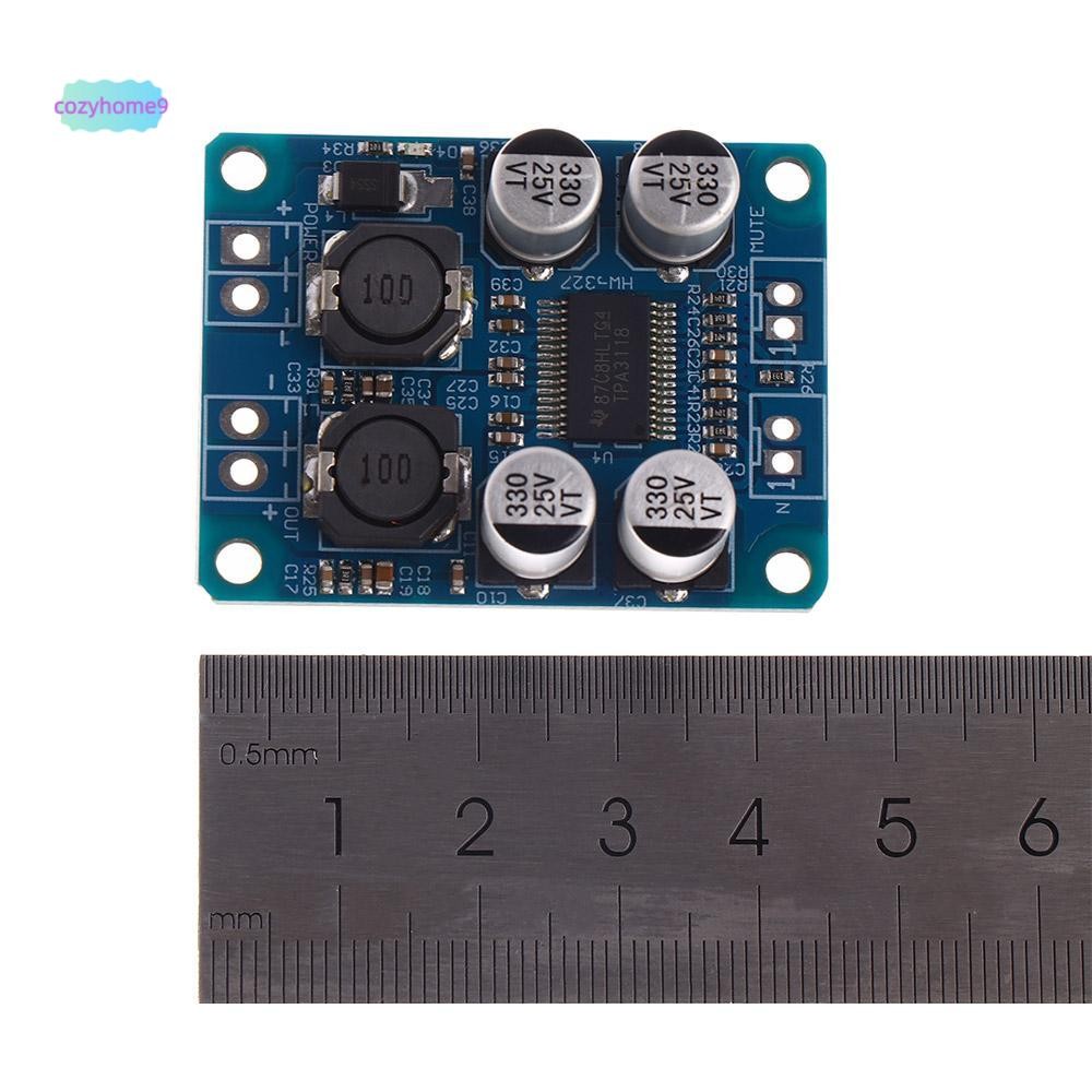 COZYHOME9 Board Mono Digital Audio โมดูลขยายเสียง 60W