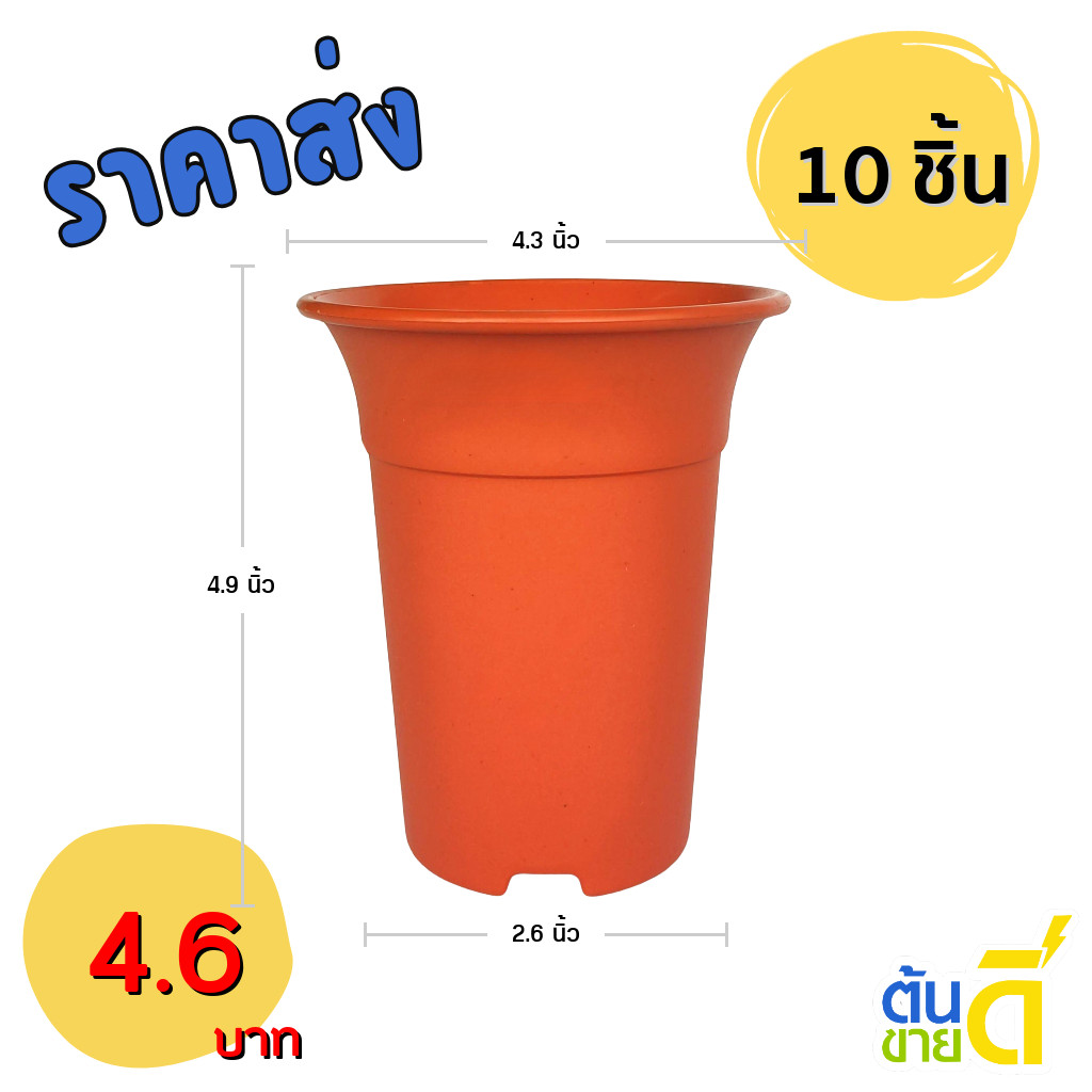 กระถาง กระถางแคคตัส กระถางปากแตร อย่างหนา 4 นิ้ว สีอิฐ 10 ใบ ชิ้น อัน