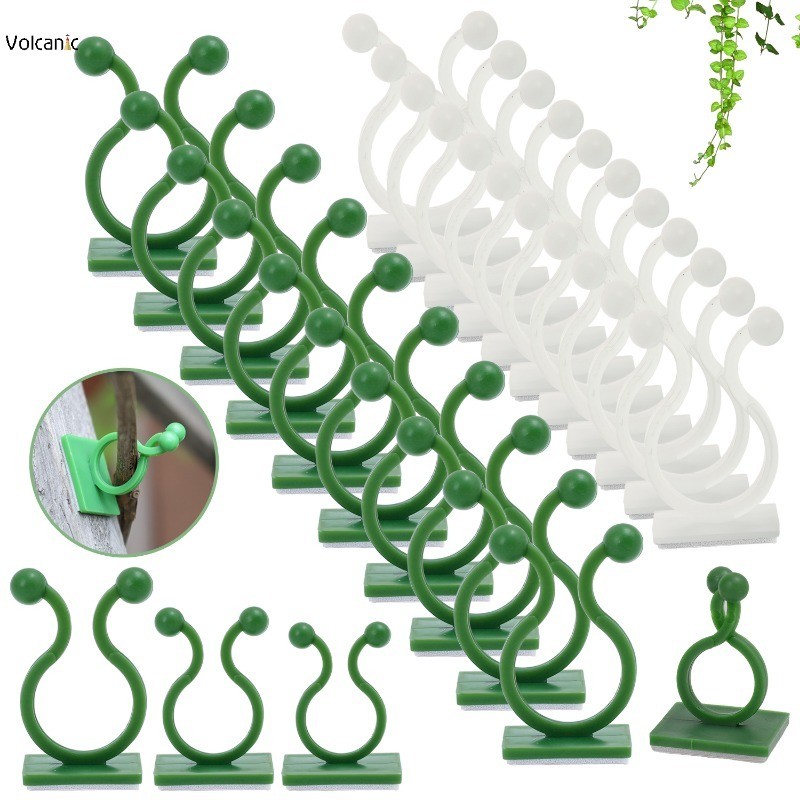 10 ชิ้นพืช Vine Climbing Wall คลิปที่มองไม่เห็น Self-Adhesive ติดผนัง Supporter สําหรับบ้านสวนหวายปลูก Fixing