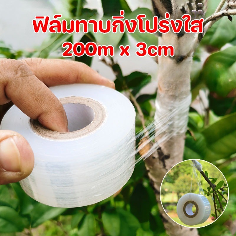 พร้อมส่ง ฟิล์มทาบกิ่ง 3CM*200M โปร่งใส เทปพันกิ่งไม้ อุปกรณ์ทำสวน อุปกรณ์รัด ฟิล์มทาบกิ่งโปร่งใส