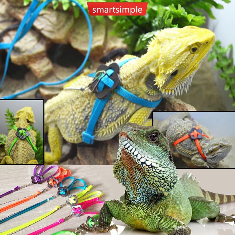 SMARTSIMPLE สัตว์เลื้อยคลานการฝึกอบรมสายจูงเชือกสายรัดเต่า Lizard เชือกลากสัตว์เลื้อยคลาน Leash Bearded Dragon Anti-Bite Harness Leash สัตว์เลี้ยงขนาดเล็กอุปกรณ์ I1T9