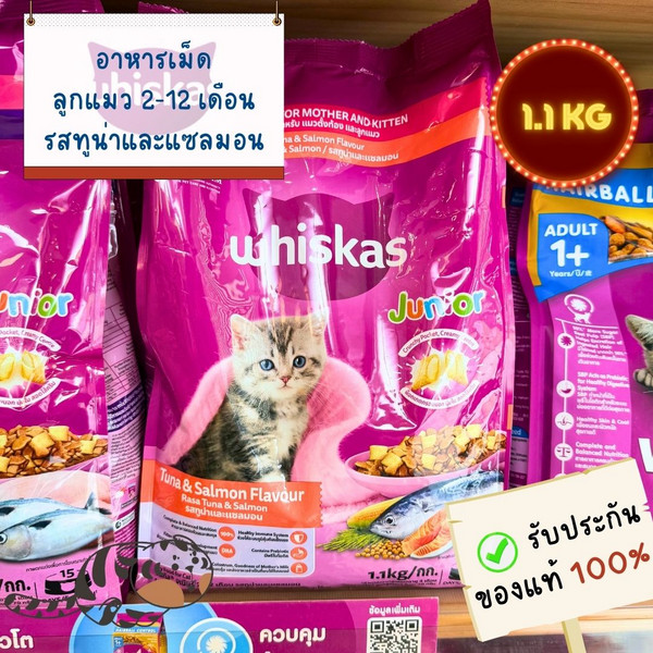 WHISKAS JUNIOR 2-12 MONTHS TUNA & SALMON FLAVOUR 1.1 KG
