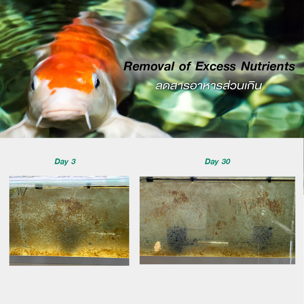 รูปภาพ 6