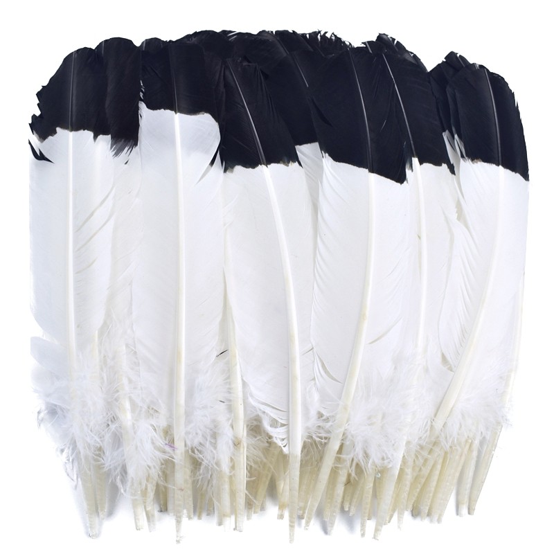 10 ชิ้น/ล็อตย้อมตุรกี Wing Quill Feather Decor 10-12 นิ้ว 25-30 ซม.สีขาวสีดํา Tipped เลียนแบบ Eagle Feathers สําหรับงานฝีมือ Diy เครื่องประดับตกแต่ง