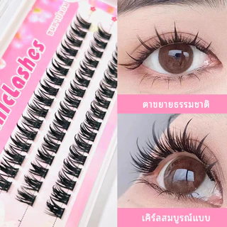 ใหม่ ขนตาปลอมธรรมชาติ C/D Curl Cos 2024 สําหรับแต่งหน้า DIY ขนตาปลอมธรรมชาติ นุ่ม เบา
