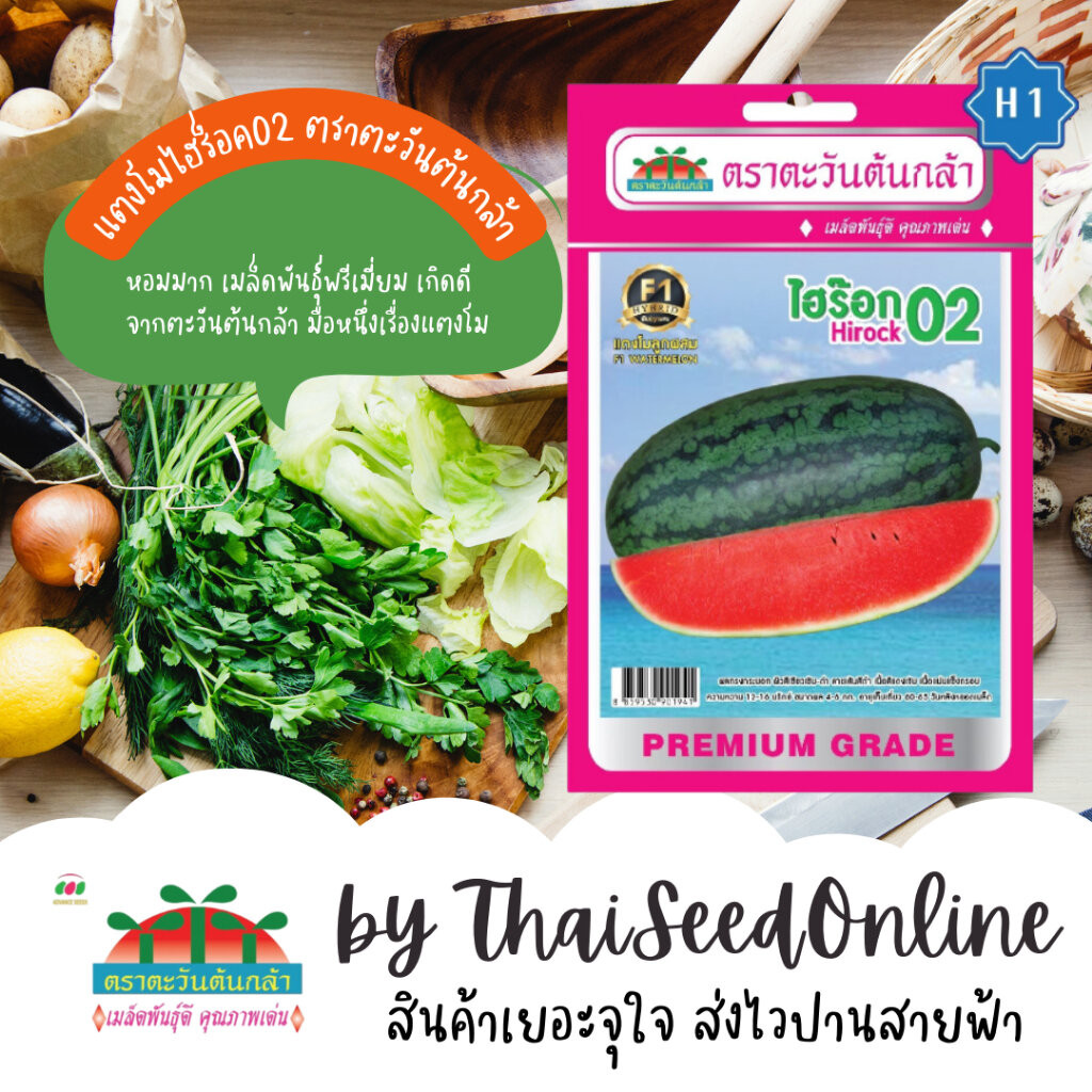 Advance Seeds(ตราตะวันต้นกล้า) ADVF1 ซฟ เมล็ดพันธุ์ แตงโม ไฮร๊อก02 ตราตะวันต้นกล้า H1