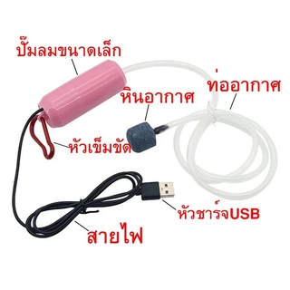 💥แผงโซลาร์เซลล์ 10W 💯 พลังงานแสงอาทิตย์ oxygenator USB ปั๊มออกซิเจนหลอดคู่ปั๊มลมแบบพกพากลางแจ้งตกปลาอาหารทะเลออกซิเจน