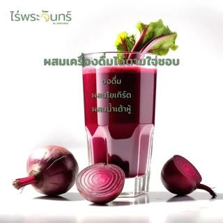 ไร่พระจันทร์ ผงบีทรูท🎈 Beetroot Powder ไม่ผสมแป้งและน้ำตาล กระปุก 100 กรัม