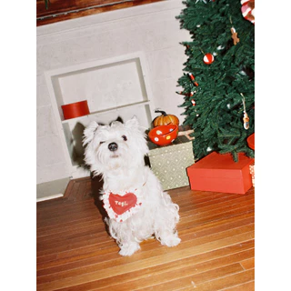 Tagi. Haha Puppy Love Drool Bib