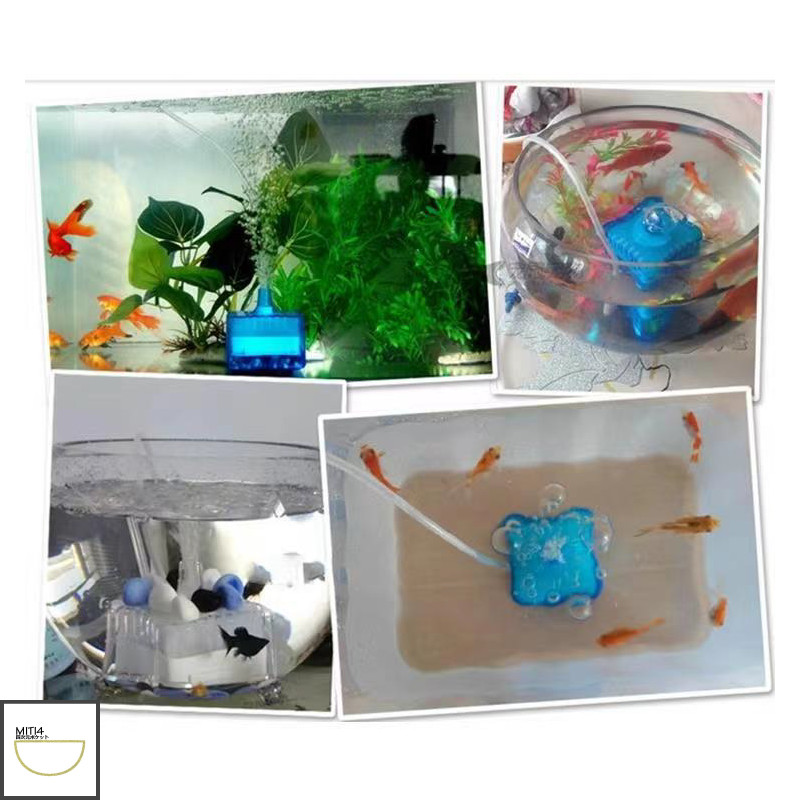 รูปภาพ 4