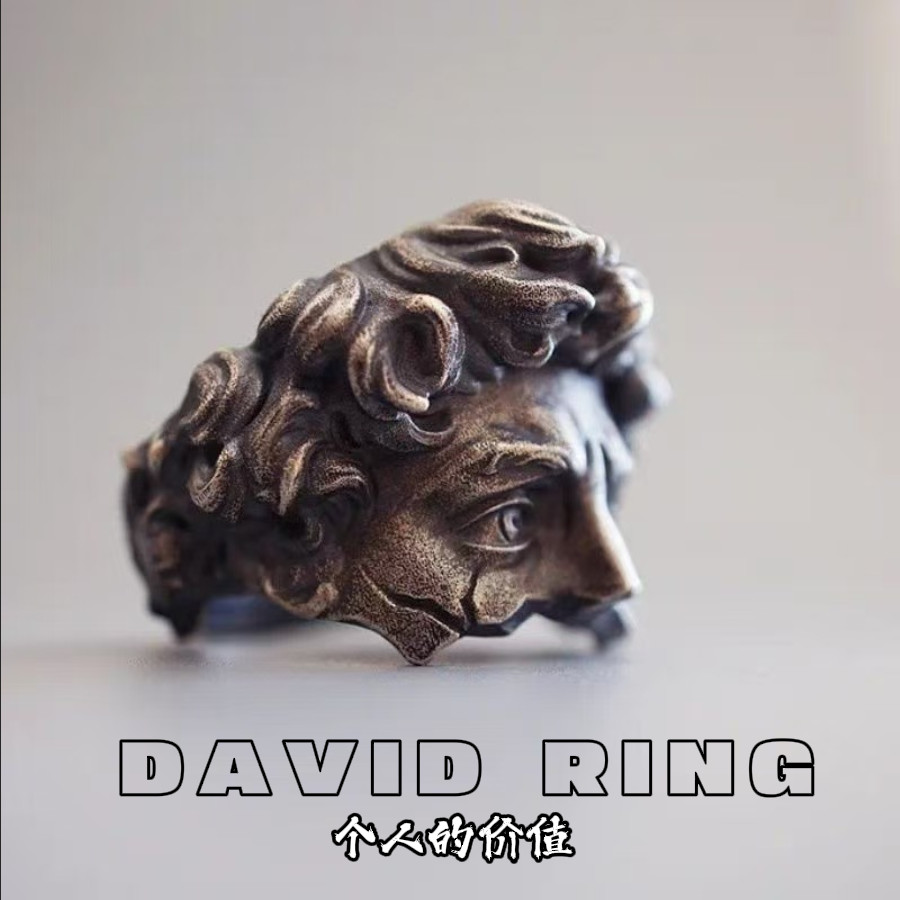 แหวนคุณค่าส่วนตัว DAVID ศิลปะเรโทรเรเนซองส์ แหวนทันสมัยแบบนิช เครื่องประดับมือแบบด้าน