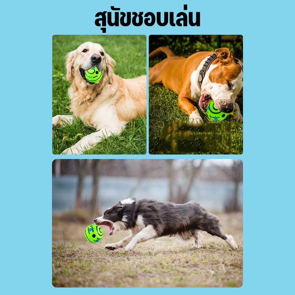 ของเล่นสัตว์เลี้ยง ของเล่นสุนัขขัดฟัน ลูกบอลสุนัขมีเสียง ของเล่นสุนัขแก้เหงา - รูปที่ 5