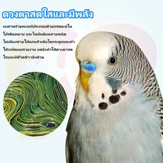 99PET อาหารสำหรับนก อาหารนกระดับพรีเมียม สารอาหารครบถ้วนหลากหลาย เหมาะสำหรับนกแก้วทุกประเภท
