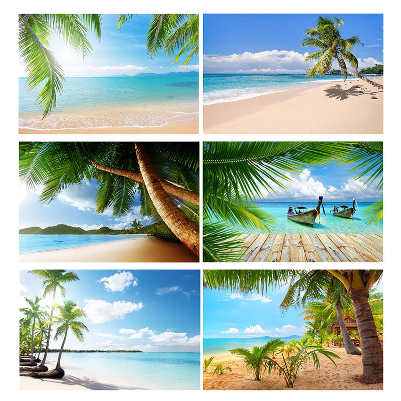 Sea Beach Sand Cloudy Blue Sky ฉากซัมเมอร์บีชฉากหลังสําหรับสตูดิโอถ่ายภาพปาล์มเขตร้อนพื้นหลังต้นมะพร