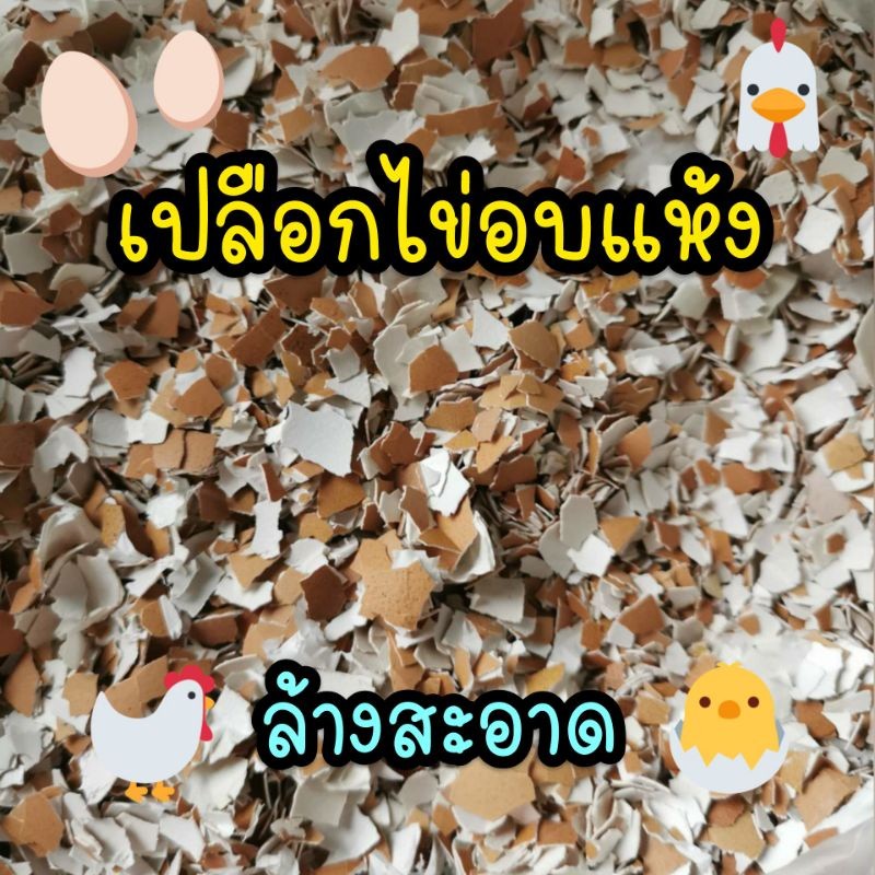 ถุง800กรัม(8ขีด) ปุ๋ยเปลือกไข่บด ล้างสะอาด อบแห้งอย่างดี พร้อมใช้ - รูปที่ 2