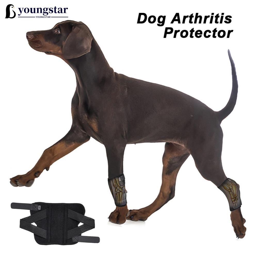YSS สัตว์เลี้ยงเข่า Pads สําหรับ Joint การบาดเจ็บ Recovery ขา Protector สุนัขป้องกันผ้าพันแผลสุนัขโรคข้ออักเสบ Protector สุนัข Hock Joint Brace
