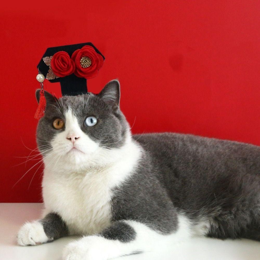 Wellnessspot ที่คาดผมปีใหม่สัตว์เลี้ยง, ผ้าโพกศีรษะแมวแบบดั้งเดิมสไตล์จีน, น่ารัก Hanfu Vintage Court Princess Dog Hanfu ที่คาดผมสุนัข/แมว - รูปที่ 4