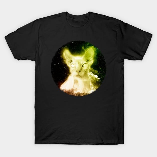 เสื้อยืด Vintage Sphynx Cat Shirt Nebula Hairless Cat Space T Shirt T-Shirt แท้ Cotton 100% น่ารัก