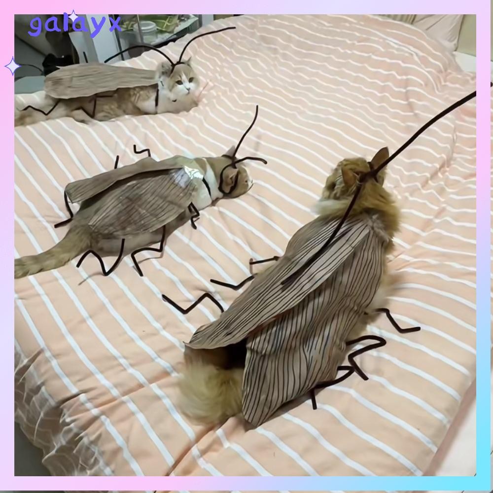 GALAYX แมวแมลงสาบเสื้อผ้า, DIY ในร่มเล่นของเล่นแมว, อุปกรณ์สําหรับสัตว์เลี้ยงแต่งตัววัสดุแพ็คอุปกรณ์เสริมคอสเพลย์