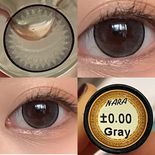 WINK Nara/Lila คอนแทคเลนส์สี Brown/gray ตาโต ลายขายดี ตาหวาน…