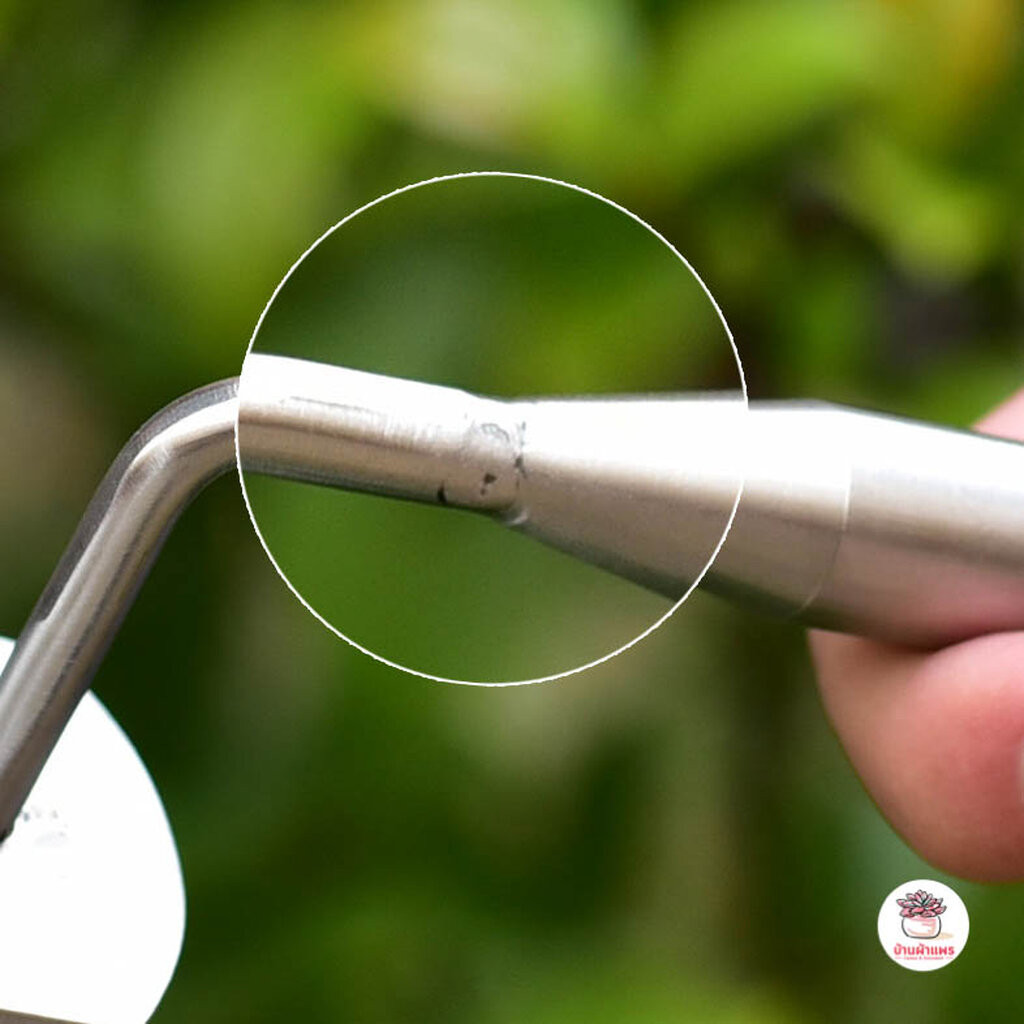 ที่กดหน้าดินสแตนเลส ปาดหน้าดิน เกลี่ยดิน พลั่วขนาดเล็ก อุปกรณ์ช่วยปลูกต้นไม้ แคคตัส กระบองเพชร cactus&succulent - รูปที่ 7