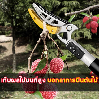 กรรไกรตัดกิ่ง ยืดไสลด์ กรรไกรตัดผลไม้SK5 ตัดกิ่งไม้เร็ว อุปกรณ์ตัดแต่งกิ่งมืออาชีพ กรรไกรตัดกิ่งด้ามยาว กรรไกรตัดกิ่งไม้