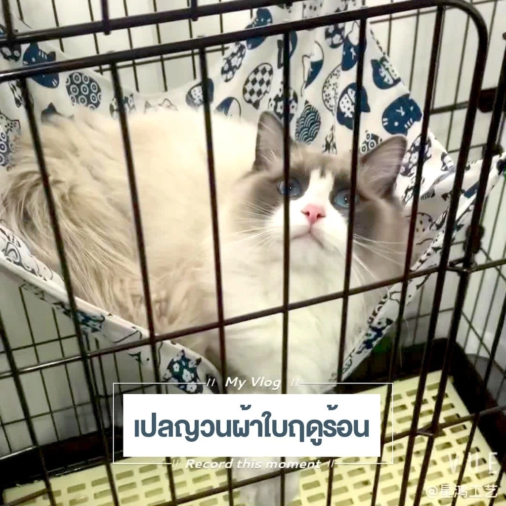 🌟สินค้าอยู่ในไทย พร้อมส่ง🌟 ทนทานแมวเปลญวนนุ่มสบายขนแกะกรงสัตว์เลี้ยงเปลญวนเตียงแมว Cattery Mat thumbnail 4