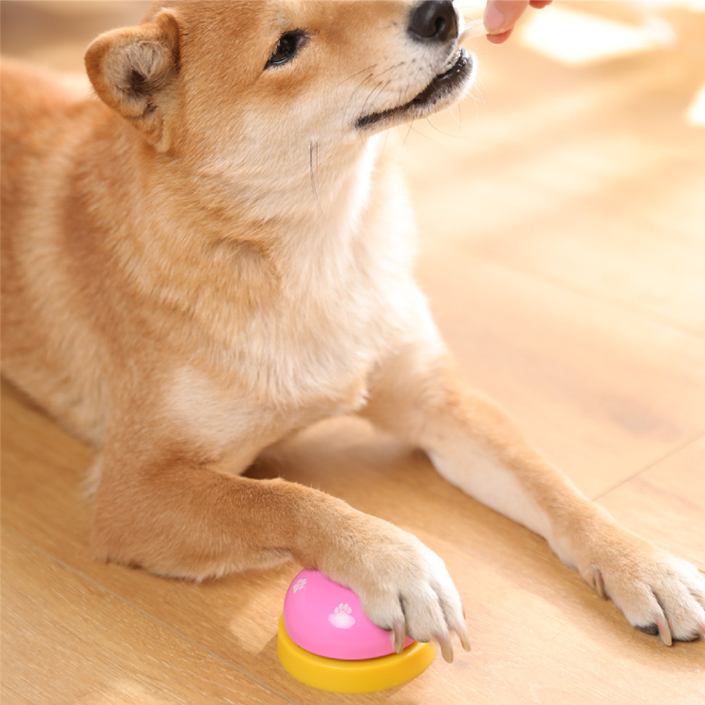 Doge&Orange พร้อมส่ง กระดิ่งฝึกสัตว์เลี้ยง กระดิ่งฝึกสุนัข แมว ของเล่นหมา กริ่งแมว COD PU130 - รูปที่ 5