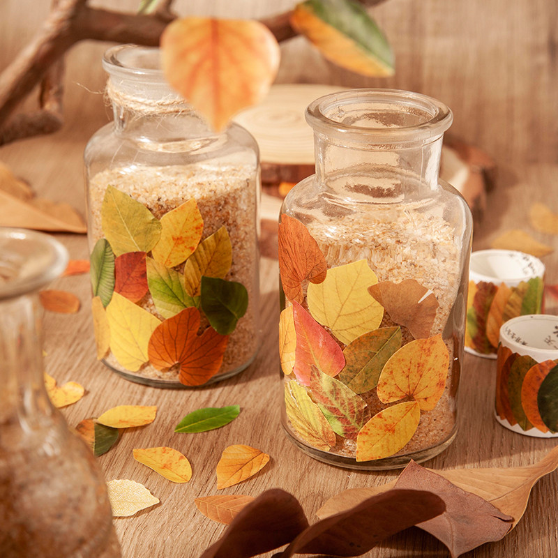 Wei 30 มม.* 2 เมตรม้วน [ชุดใบตกของ Xiangxie] พืชสร้างสรรค์ Deco Masking เทป Washi เทป Scrapbooking วัสดุสมุดภาพชุด