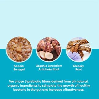 Probiotic Blend Capsules - 30/60/120 Capsules - Supports overall digestive health, supports immune health - Non-GMO