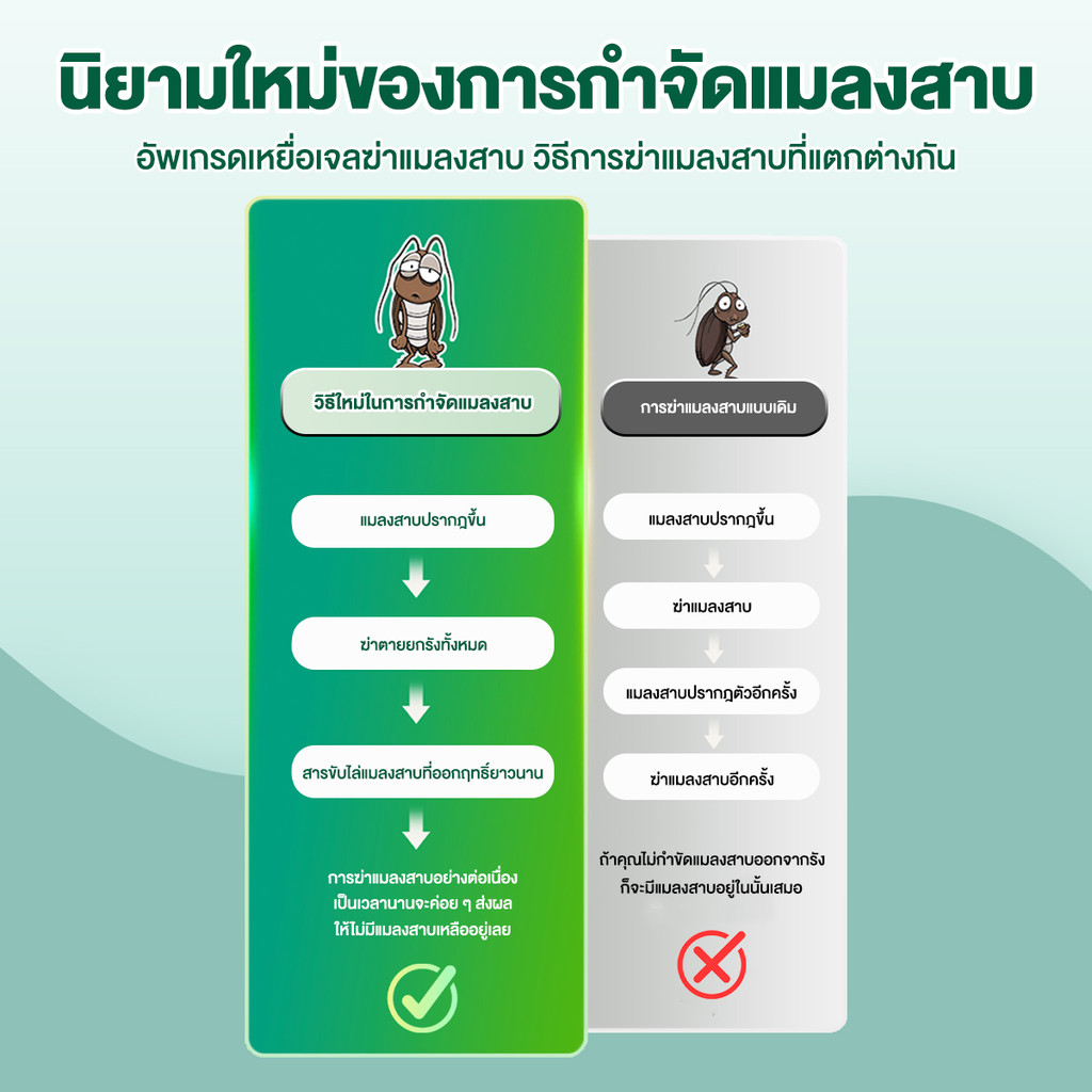 เจลกำจัดแมลงสาบ 10 กรัม เห็นผลรวดเร็ว เจลแมลงสาบ กำจัดแมลงสาบ แมลงสาบ บ้านแมลงสาบ - รูปที่ 3