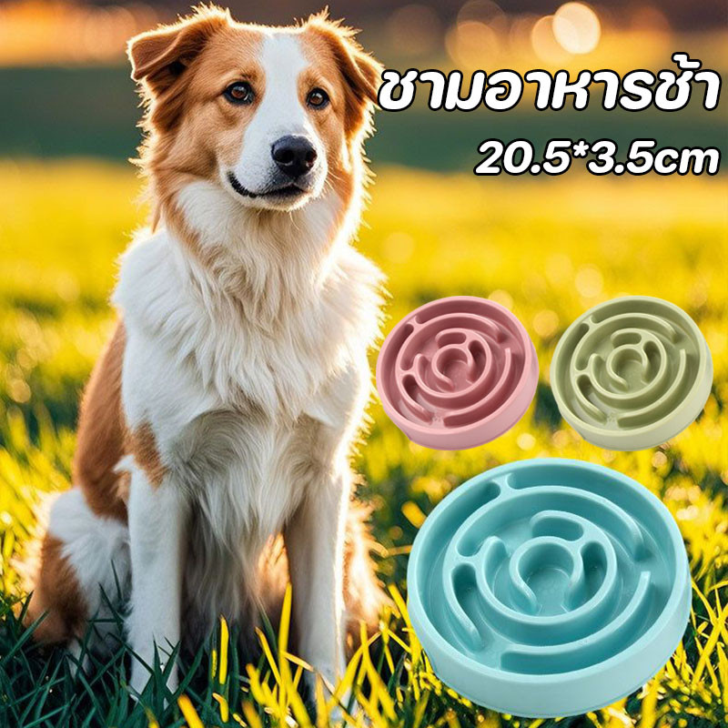 ชามอาหารช้า ชามอาหารฝึกให้ทานช้าลง สําหรับฝึกสัตว์เลี้ยง สุนัข แมว