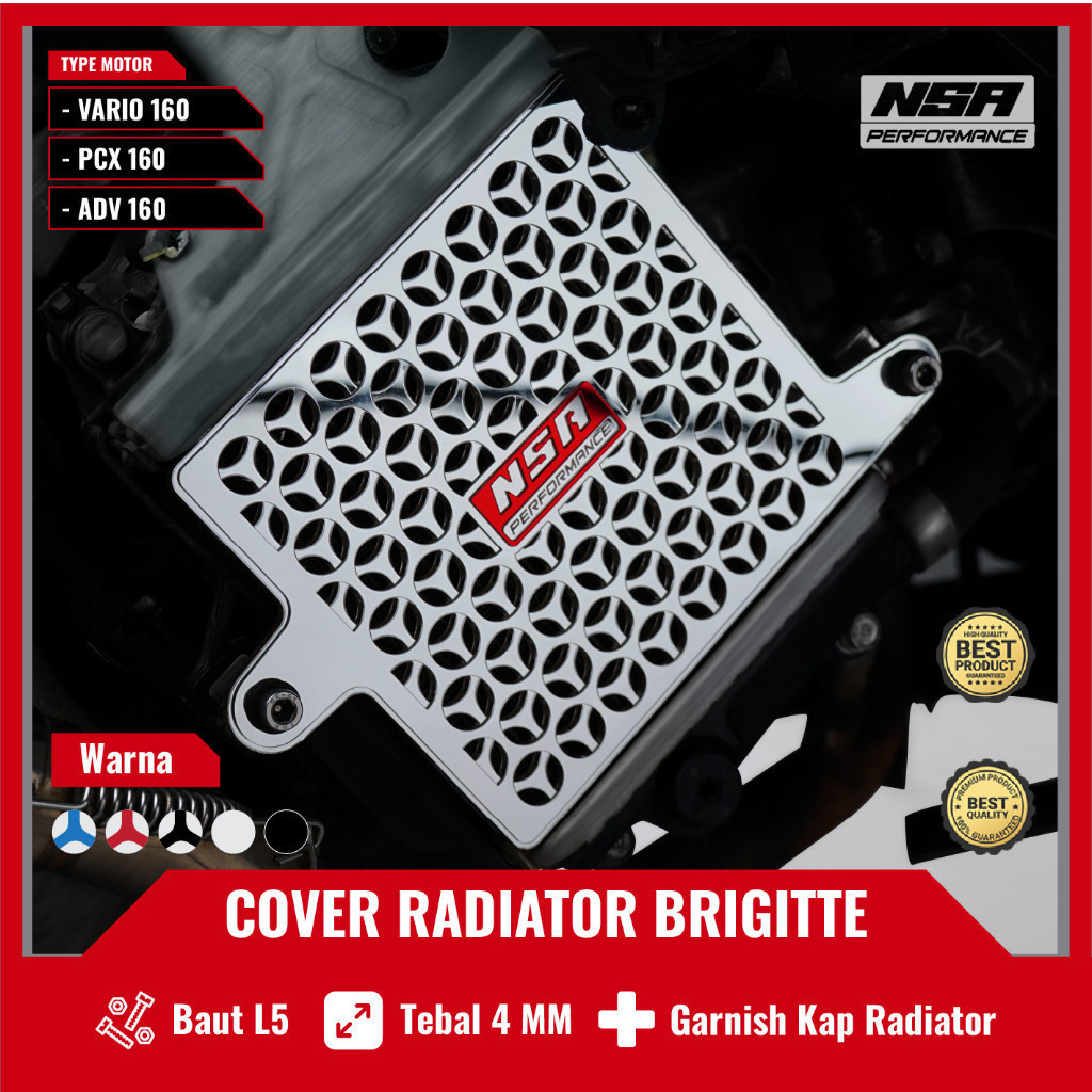 NSA COVER RADIATOR HONDA 160 TwoTone Brigitte ฝาครอบหม้อน้ํา VARIO PCX ADV STYLO 160 อุปกรณ์เสริมรถจ
