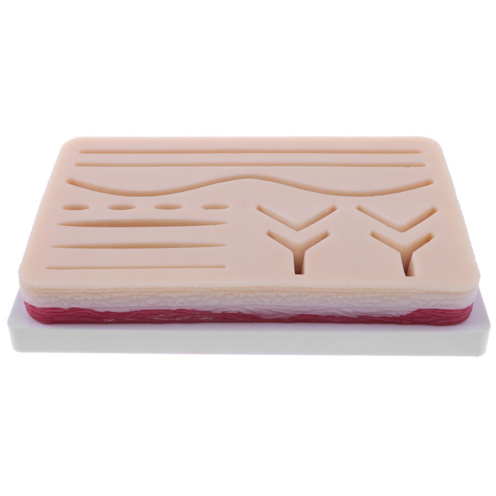 Human Skin Wound Pad Model Suturing Repeated Practice