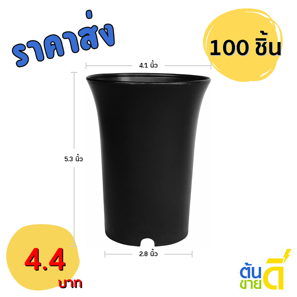 กระถางปากแตร กระถาง กระถางไม้กราฟ ทรงสูง 4 นิ้ว 100 ใบ สีดำ ยกมัด