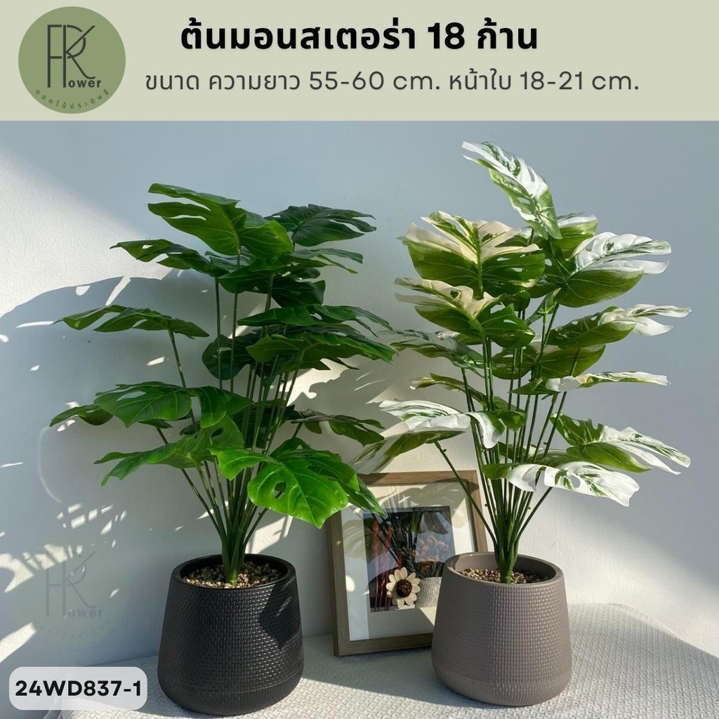 ต้นมอนสเตอร่า 18 ก้าน ต้นไม้ตกแต่ง ต้นไม่ประดิษฐ์ มอนด่าง