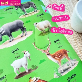 โปสเตอร์เสริมการเรียนรู้สำหรับเด็ก A3 แบบฝึกอ่าน ก-ฮ | ABC | 123 | Animals