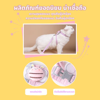 🐾สายจูงสัตว์เลี้ยง แมว หมา สุนัข เชือกรัดสัตว์เลี้ยง สายรัด น่ารัก คุณภาพดี มีหลายขนาดให้เลือก