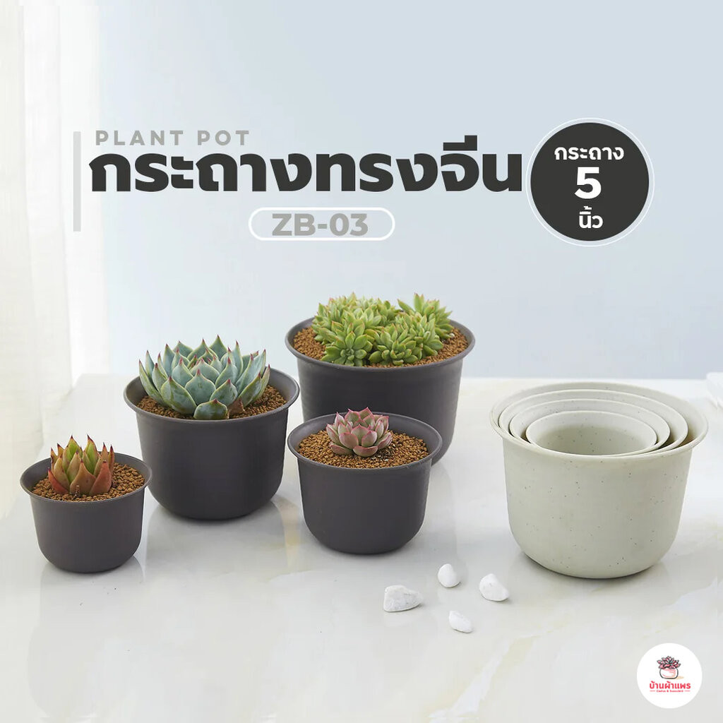 [ ZB-03 ] กระถางทรงจีน 5 นิ้ว กระถางพลาสติก กระถางต้นไม้ กระบองเพชร ไม้อวบน้ำ Cactus&Succulent