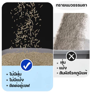 [SKISOPGO] ทรายแมวเต้าหู้ ออร์แกนิค100% Cat Litter 6L ผลิตจากกากถั่วเหลืองธรรมชาติ จับตัวเป็นก้อนไว 4 รสชาติ