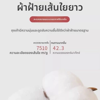 ถุงเท้าห้านิ้วผู้หญิงฤดูร้อนสไตล์บางผ้าฝ้ายแท้สั้นต้านเชื้อแบคทีเรียป้องกันเท้าอากาศตาข่ายระบายอากาศกลาง-
