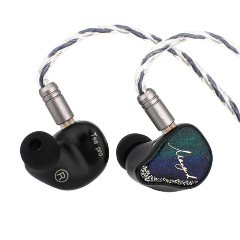Xenns Mangird Tea Pro 2024 อัปเดต 6BA + 2DD Hybrid Higher Performance IEM Hifi หูฟังพร้อมสาย Xenns C