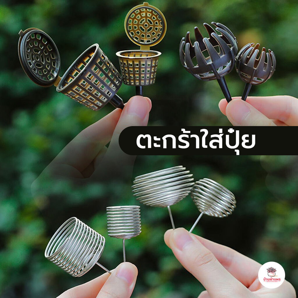 ตะกร้าใส่ปุ๋ย ถ้วยใส่ปุ๋ย กล้วยไม้ ไม้ใบ ไม้ฟอกอากาศ