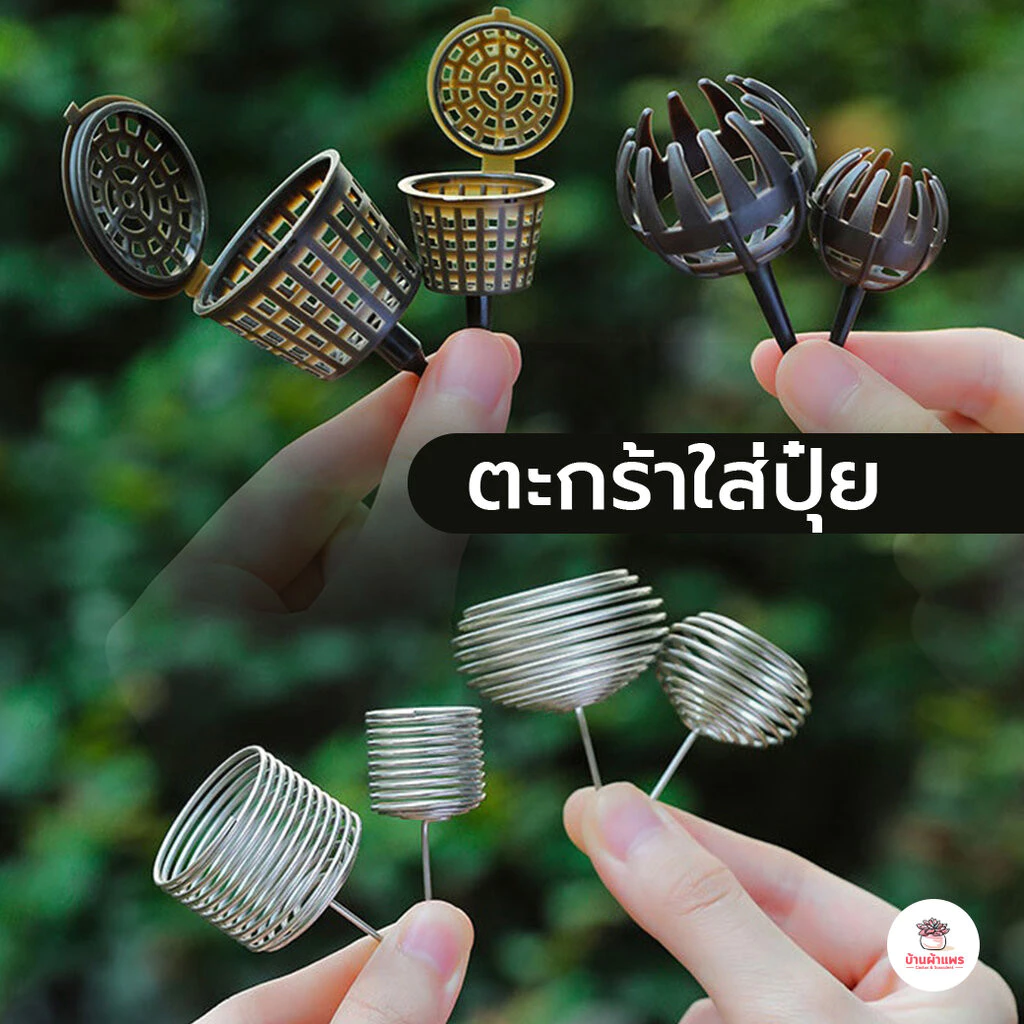ตะกร้าใส่ปุ๋ย ถ้วยใส่ปุ๋ย กล้วยไม้ ไม้ใบ ไม้ฟอกอากาศ