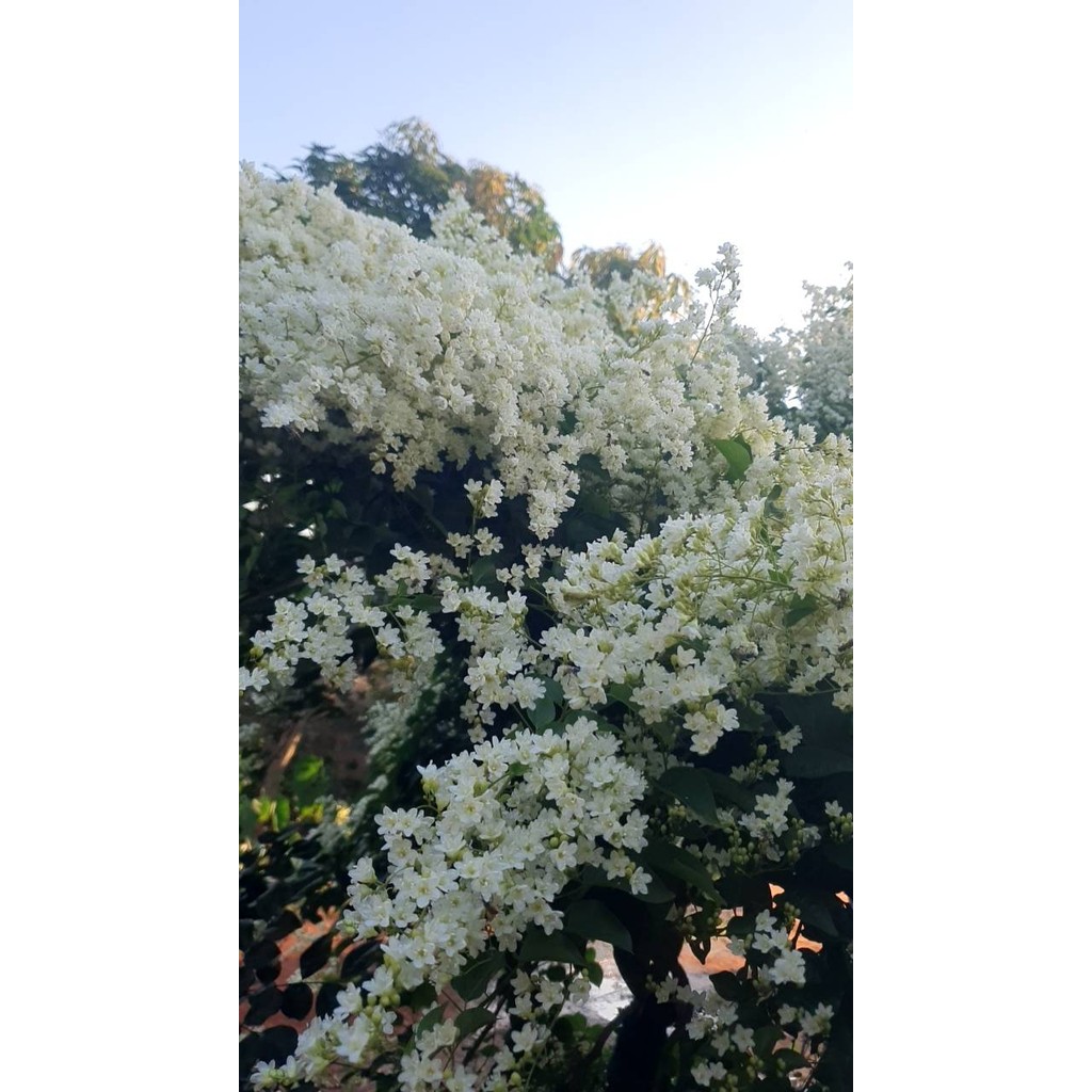 มุมมอง 3