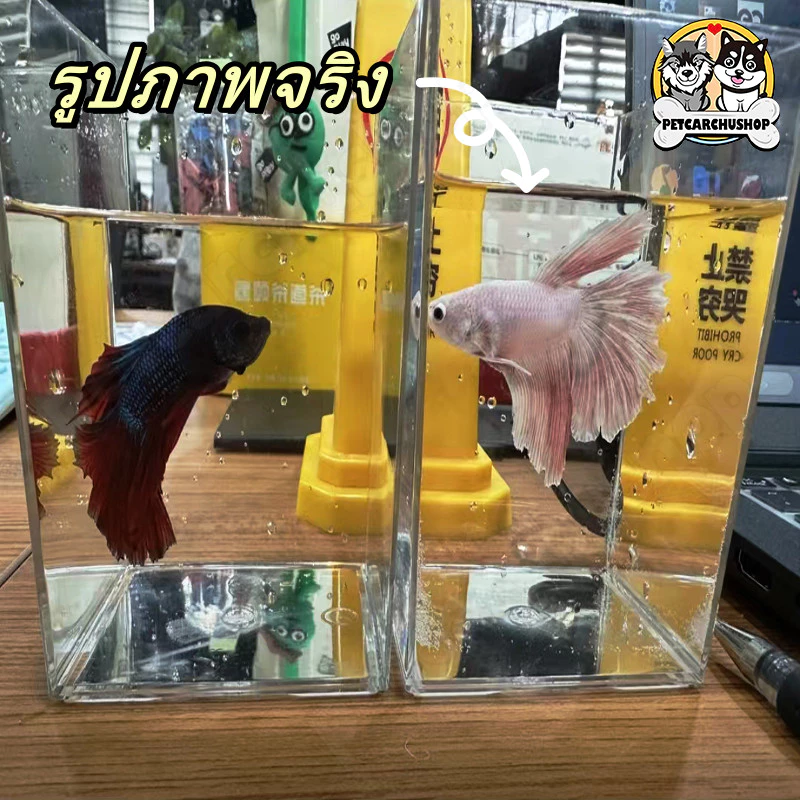 **🐠 ตู้ปลา ตู้ปลาเล็ก ตู้ปลากัด ตู้ปลาขนาดเล็ก โหลปลากัด เหมาะสำหรับสัตว์เลี้ยงขนาดเล็กทุกชนิด 🏠✨** thumbnail 7