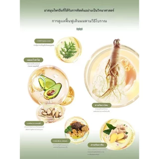 แชมพูกีวีแอปเปิ้ล 500มล. เจลอาบน้ำน้ำผึ้งมะนาว ครีมนวดผมแอปเปิ้ล ควบคุมความมัน ป้องกันรังแคและอาการคัน